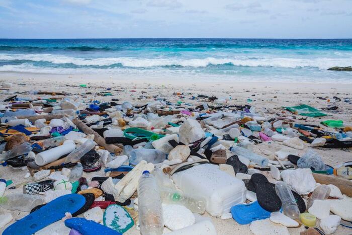 EU study on the Black Sea shows worrying pollution indicators