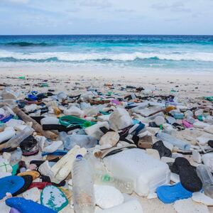 EU study on the Black Sea shows worrying pollution indicators