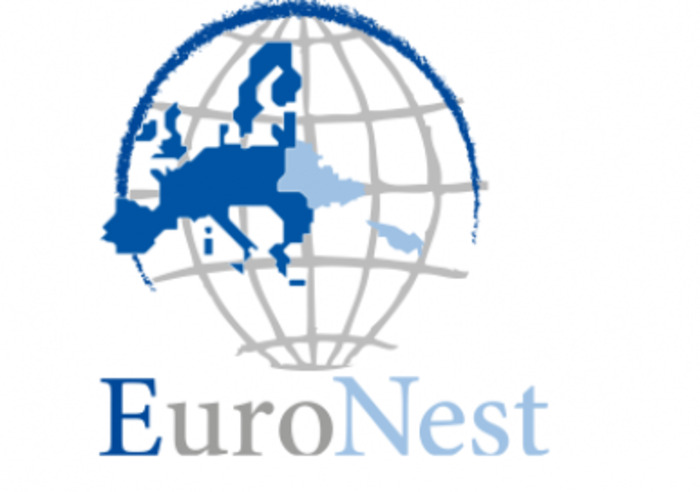 8th Ordinary Session of the Euronest Parliamentary Assembly held in Tbilisi