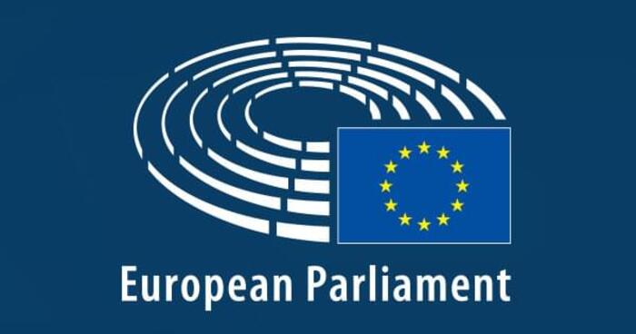 Critical remarks made at the EU parliament over the situation in Georgia