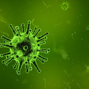 South Caucasus countries react to the Coronavirus outbreak