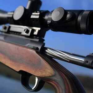 Neuer Fall in der ORSIS-Angelegenheit eröffnet