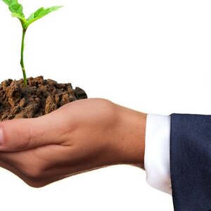 Der Grüne Klimafonds genehmigt ein großes Forstprojekt in Armenien