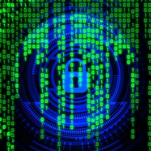 Georgia participates in large cybercrime network arrests