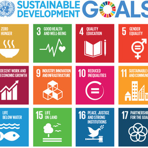 South Caucasus countries in Sustainable Development Report 2021