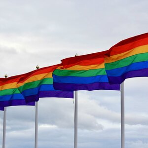 Tiflis Pride: Neueste Entwicklungen
