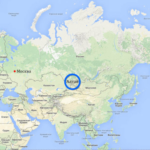 The Kremlin reacted to the 