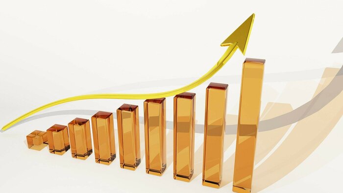 Georgia continues to demonstrate economic growth in January-November last year