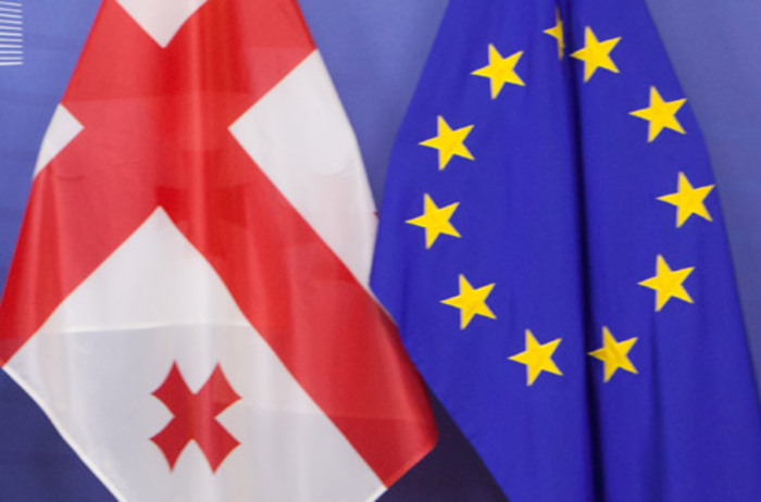 EU representative discusses Georgia's strengths and weaknesses for membership application