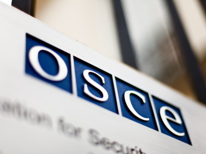 The Armenian Delegation Outraged by OSCE not Discussing the Nagorno-Karabakh Issue
