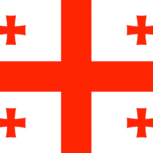 Recent Political Developments in Georgia