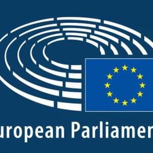 European Parliament Supports Accelerating Georgia's EU Membership Bid