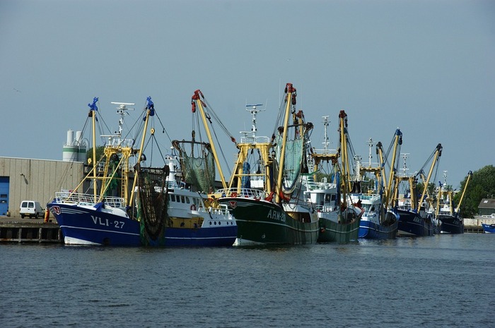 Streik am Hafen Batumi