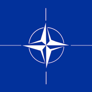 Georgien bereit für die NATO-Mitgliedschaft?